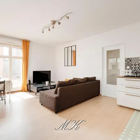 Appartement Le Safran A 9 Min De Stanislas, *